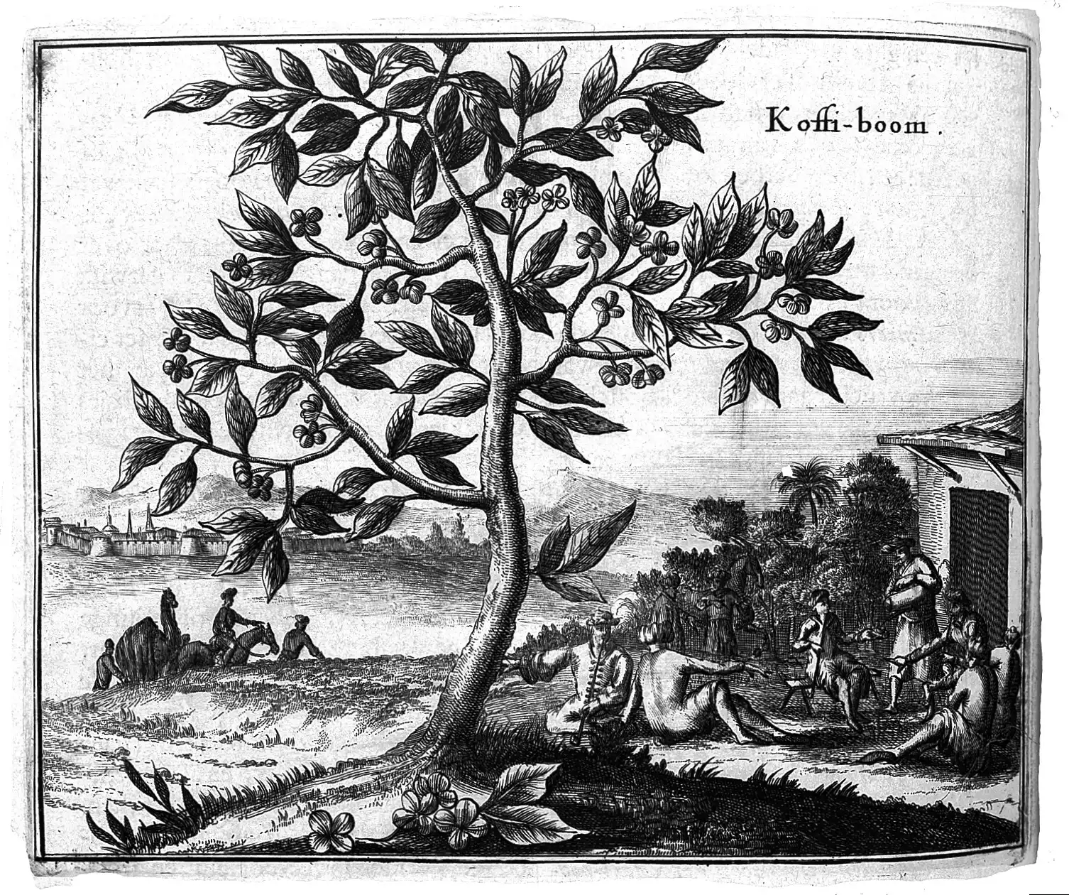 Book plate of a coffee tree lettered Koffi-boom over resting men, with a camel and a walled town behind it