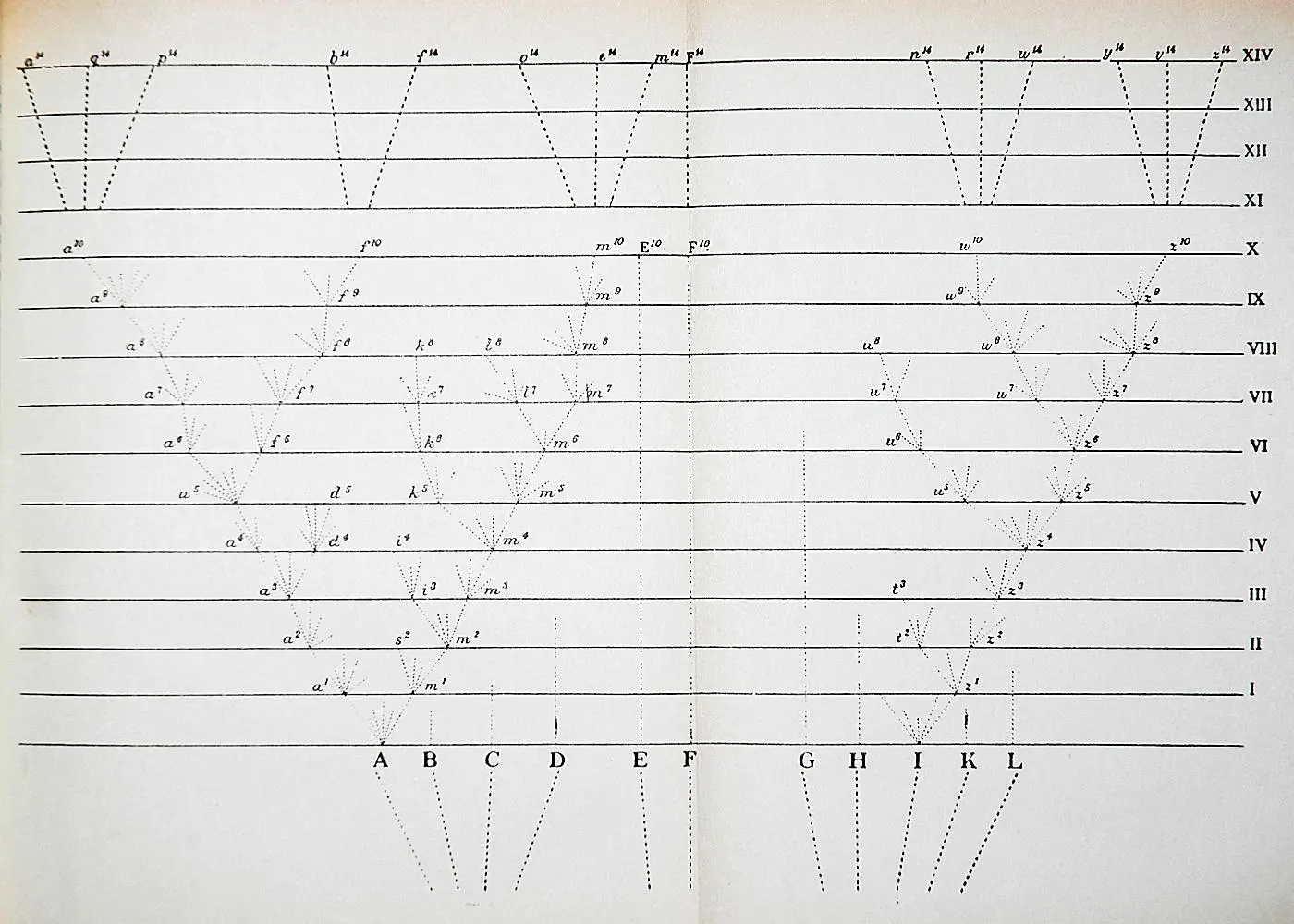 Darwin's 1859 branching diagram: dotted lines rise from species A to L and fork across fourteen horizontal levels