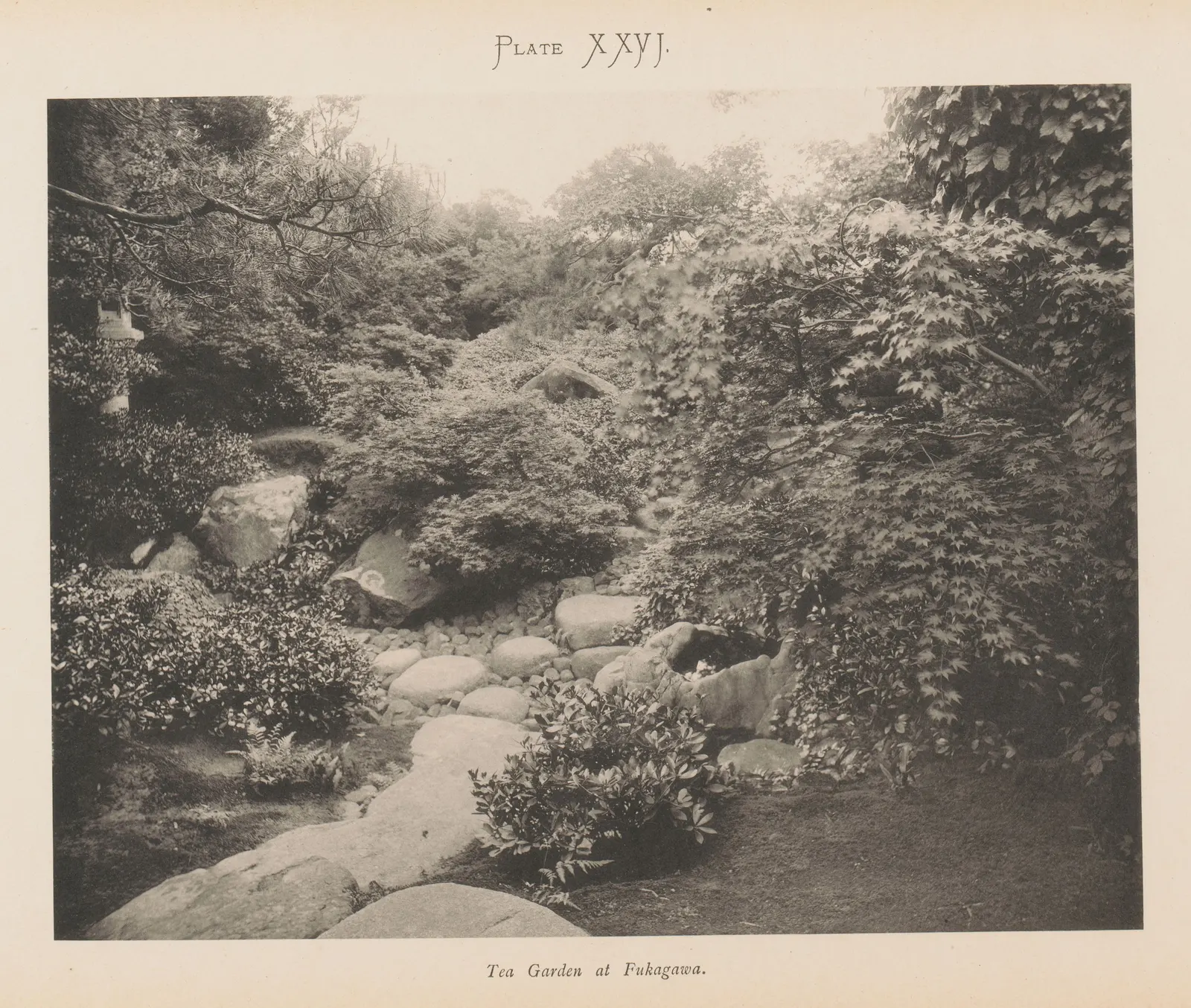 Japanese tea garden at Fukagawa in an 1893 album: a dry bed of rounded stones under dense foliage, a stone lantern at left