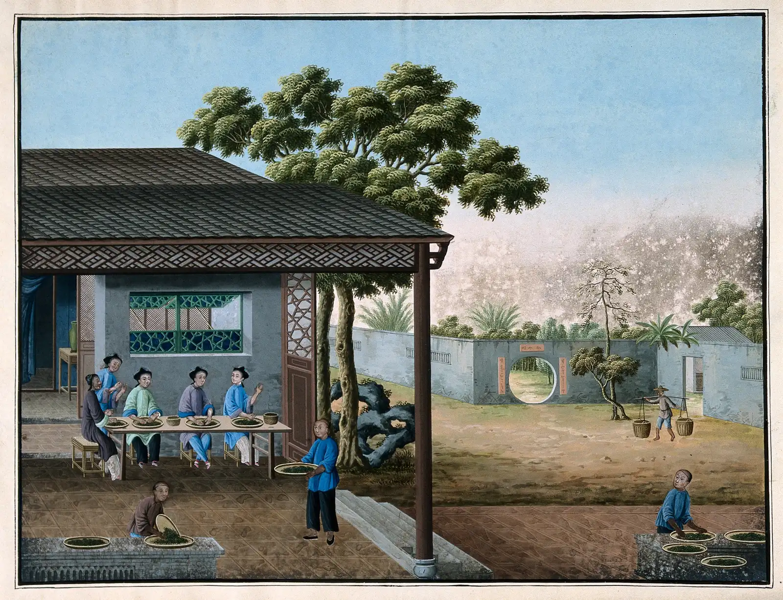 Painting of workers in China rolling tea leaves at a table and sifting them on round trays